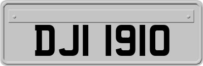 DJI1910