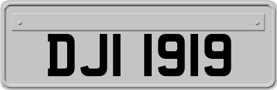 DJI1919