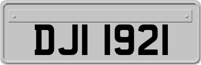 DJI1921