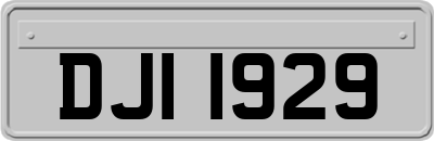 DJI1929