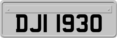 DJI1930