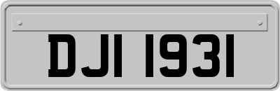 DJI1931