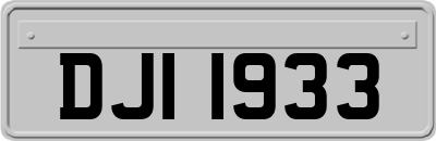 DJI1933