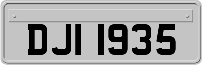 DJI1935