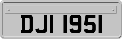 DJI1951