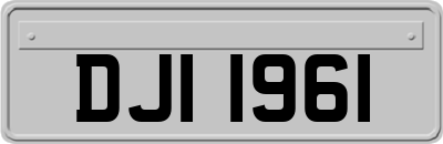 DJI1961