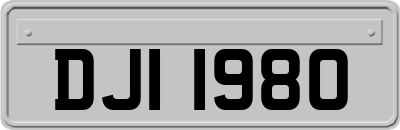 DJI1980