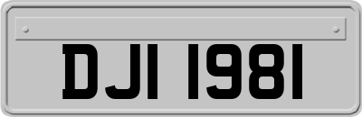 DJI1981
