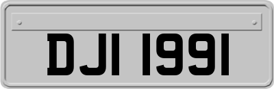DJI1991