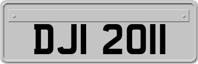 DJI2011