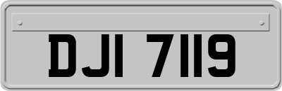 DJI7119
