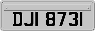 DJI8731
