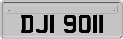 DJI9011