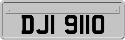 DJI9110