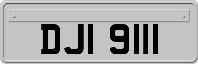 DJI9111