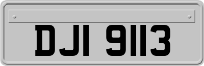 DJI9113