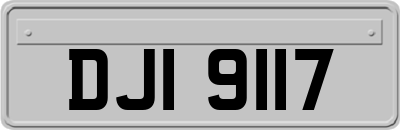 DJI9117