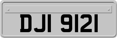 DJI9121