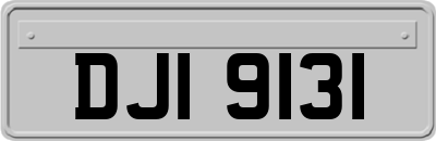 DJI9131