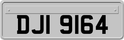 DJI9164