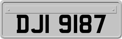 DJI9187