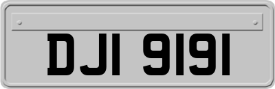 DJI9191