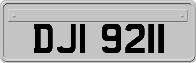 DJI9211