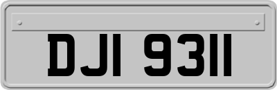 DJI9311