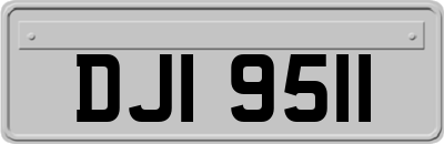 DJI9511