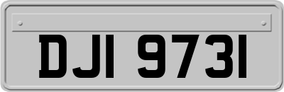 DJI9731