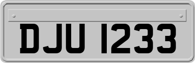 DJU1233