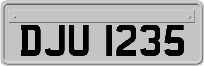 DJU1235