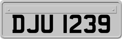 DJU1239
