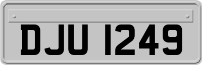 DJU1249