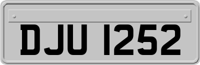DJU1252