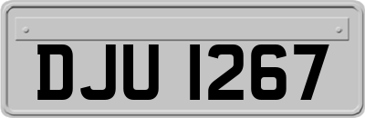 DJU1267