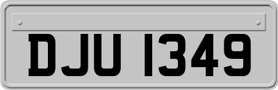 DJU1349
