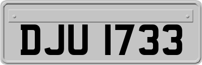 DJU1733