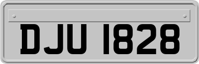 DJU1828