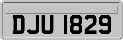 DJU1829
