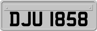 DJU1858