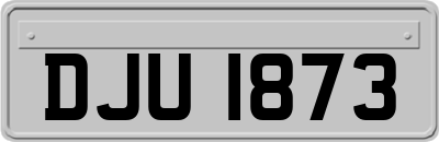 DJU1873