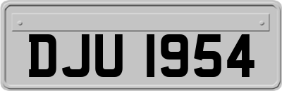 DJU1954