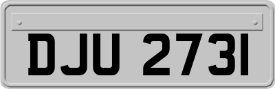DJU2731