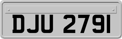 DJU2791