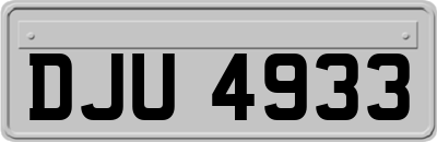 DJU4933