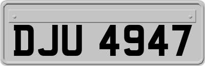 DJU4947