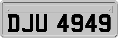 DJU4949