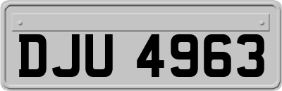 DJU4963