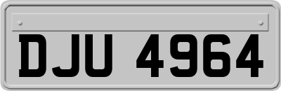 DJU4964